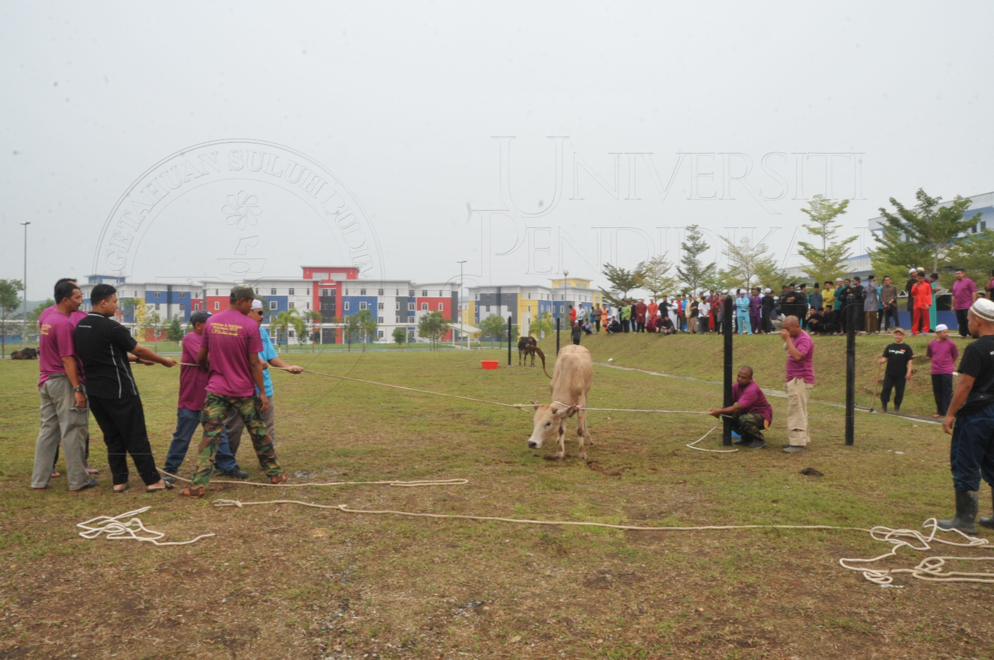 PRO15 150 KORBAN HAS 6668